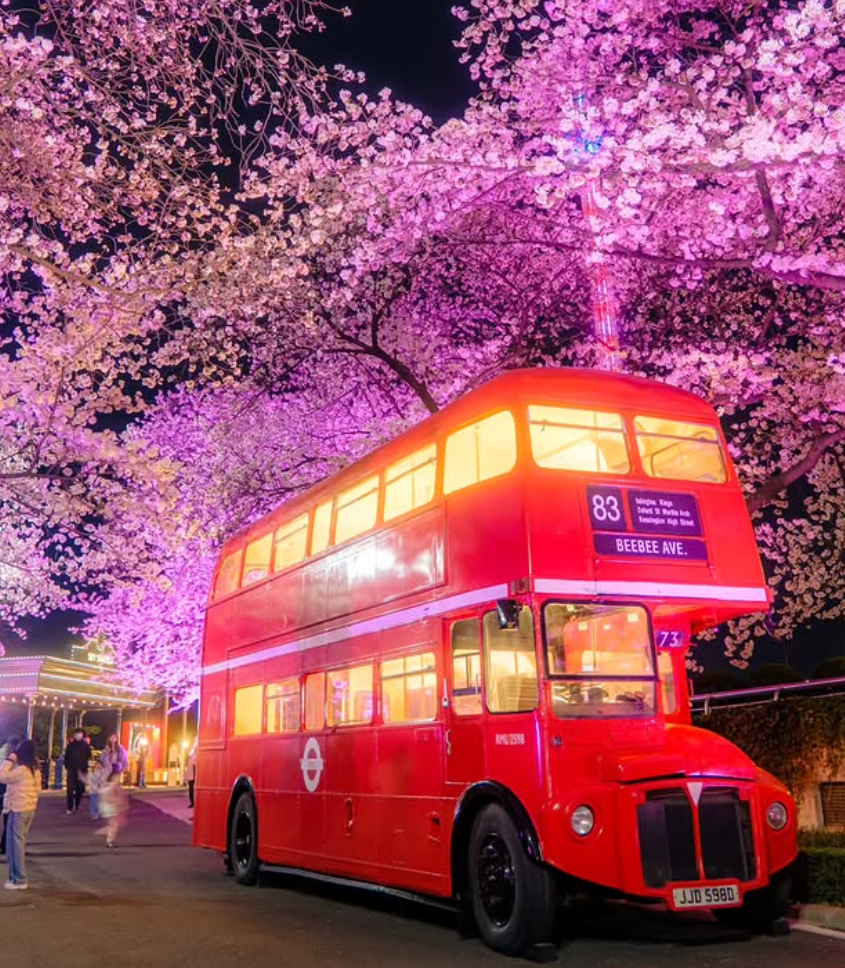 대구 이월드 자유이용권 할인