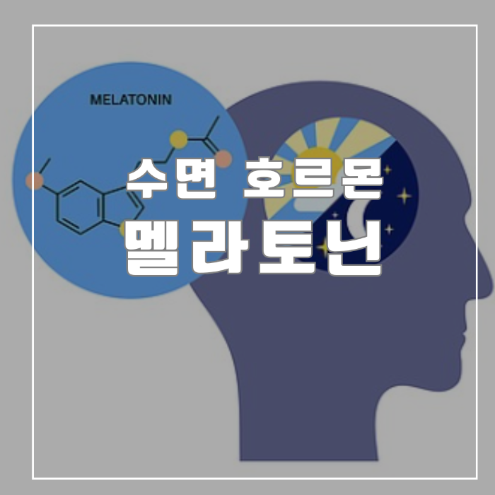 멜라토닌