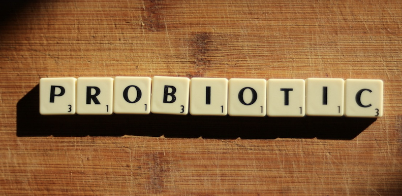 장 건강이 면역력을 좌우한다: 장내 미생물과 건강의 관계