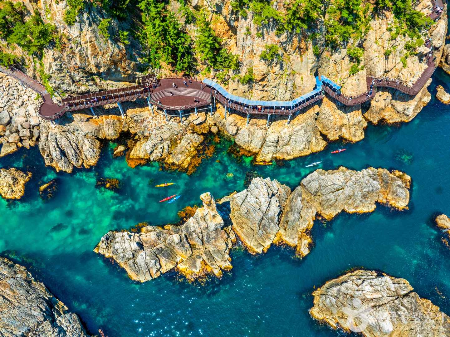 삼척 초곡 용굴촛대바위길