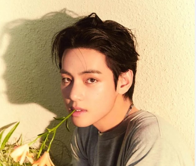 뷔의 글로벌 활동 근황 모아보기