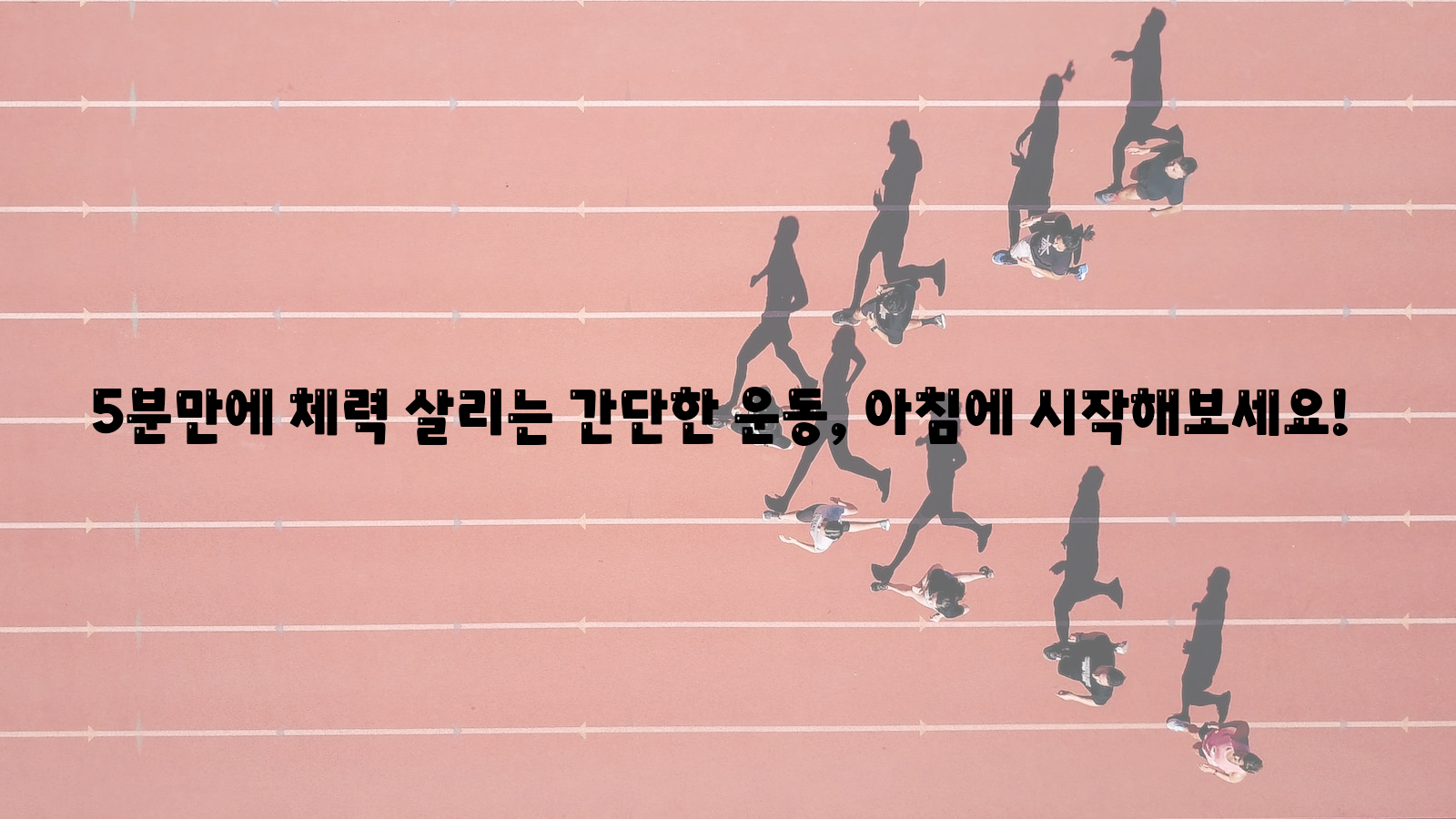 체력, 운동, 아침