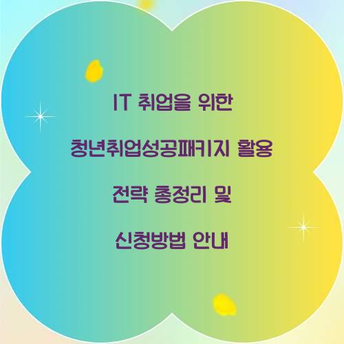 IT 취업을 위한 청년취업성공패키지 활용 전략