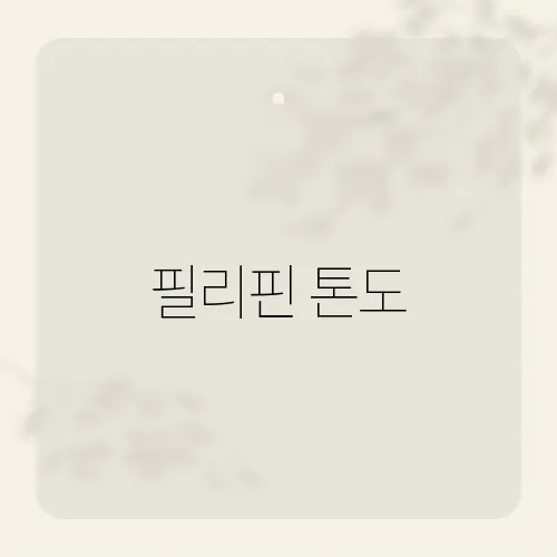 필리핀 톤도, 여행자가 피해야 할 구역?