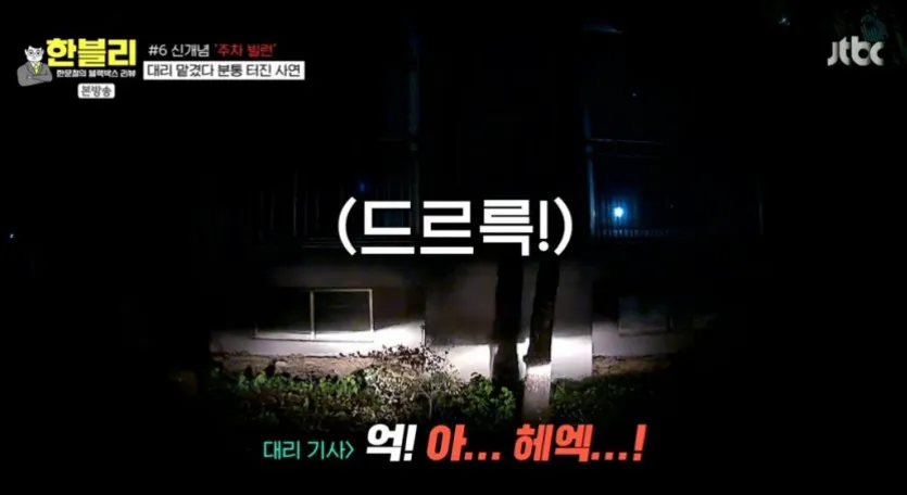 신개념 주차 빌런 대리 기사 4