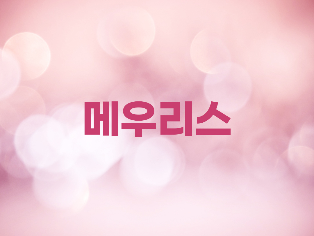 메우리스 천주교 여자세례명