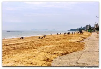 보령 가볼만한 곳 인기여행지 여행코스 TOP10 관광명소_28