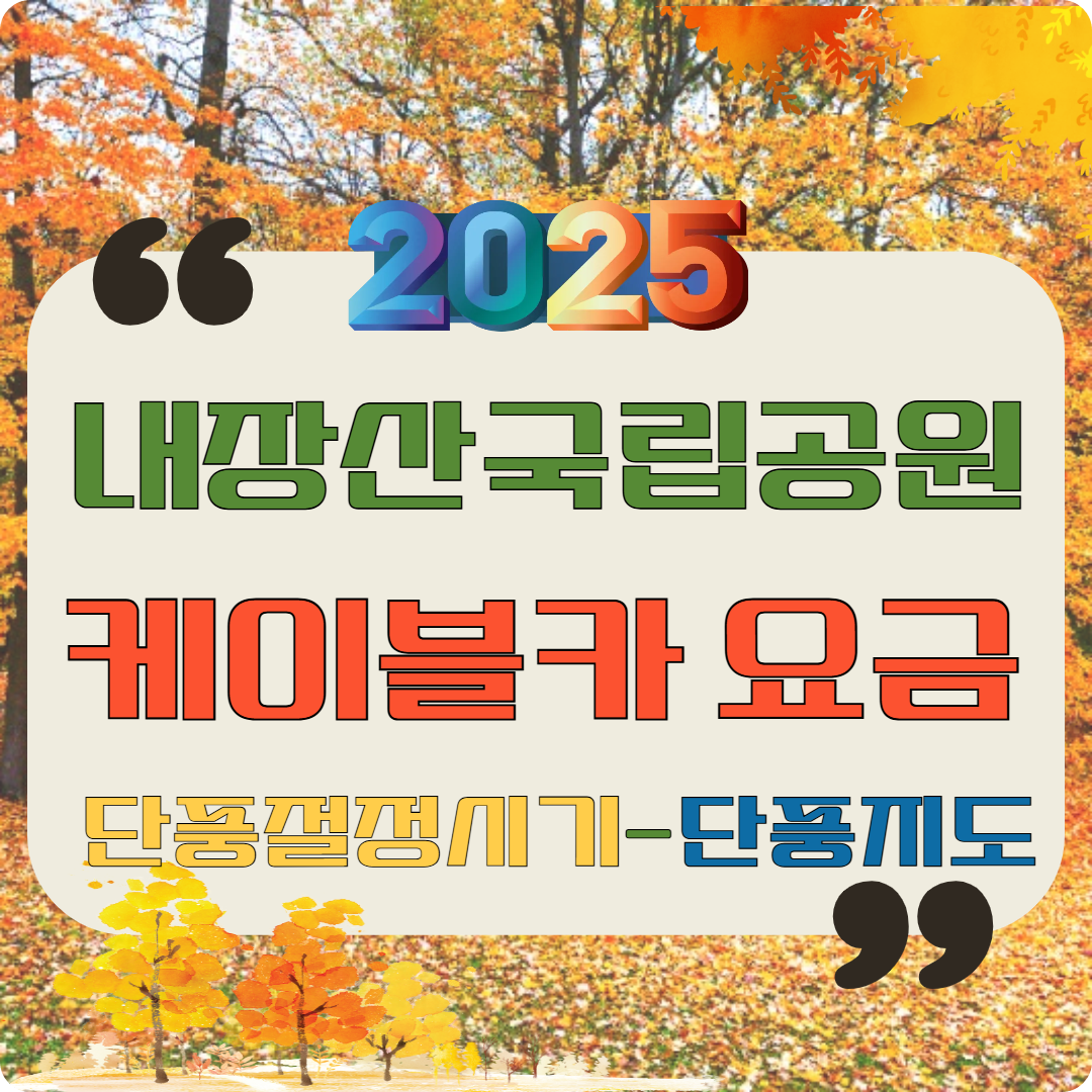 2025 내장산국립공원 케이블카 요금 단풍절정시기-단풍지도 이미지