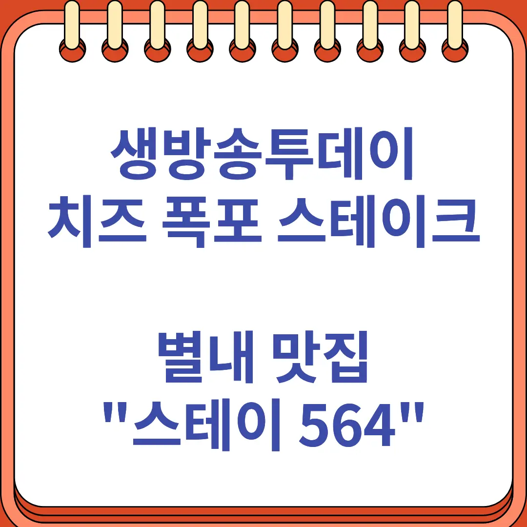 생방송투데이 치즈 폭포 스테이크 별내 맛집 스테이 564