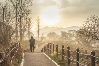 수술·치료 지원 혜택 인포그래픽