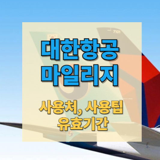 대한항공 마일리지 사용처 썸네일