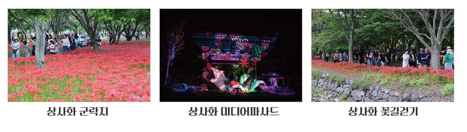 2024 영광 불갑산 상사화 축제