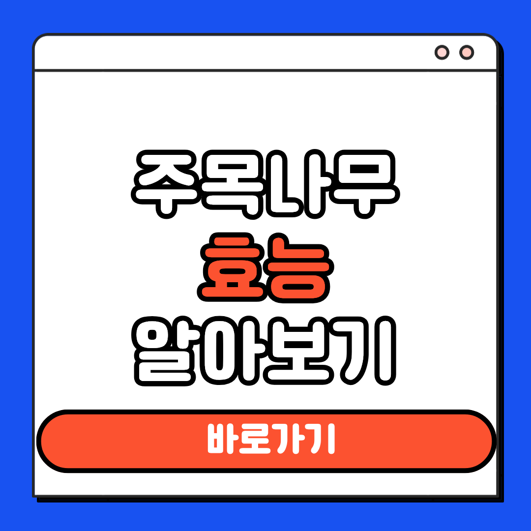 주목나무 열매 효능