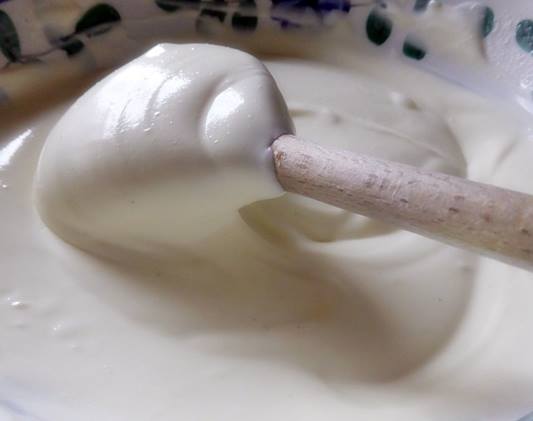 단백질 보충제 웨이프로틴 유청 단백질 효능