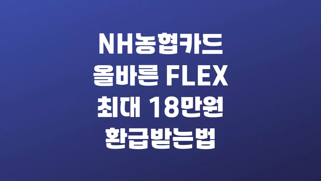 NH농협카드 올바른 FLEX 최대 18만원 환급받는법