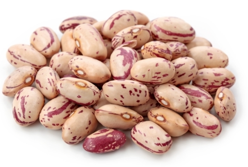 마그네슘 부족현상