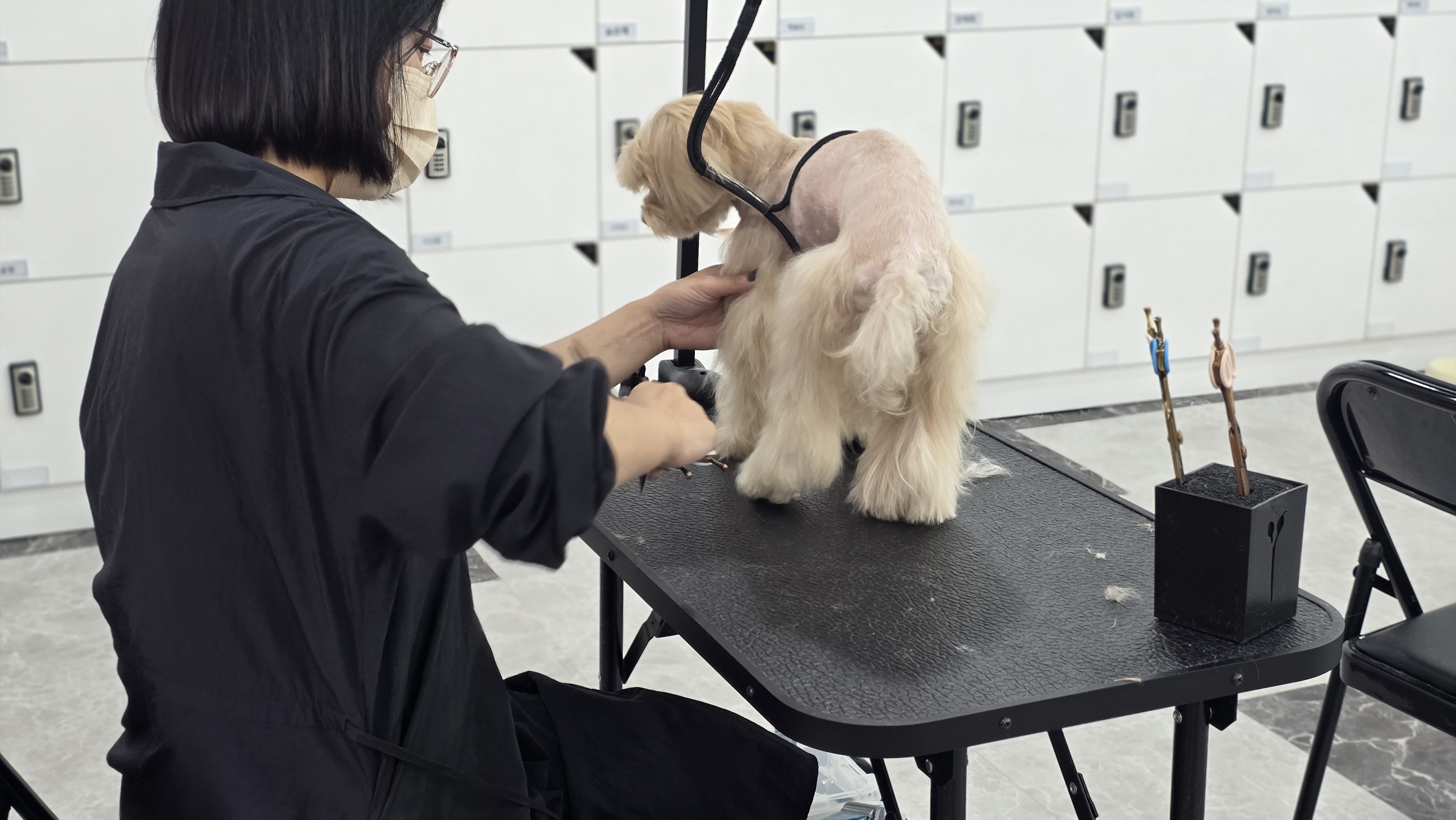 가정견실습하는 모습