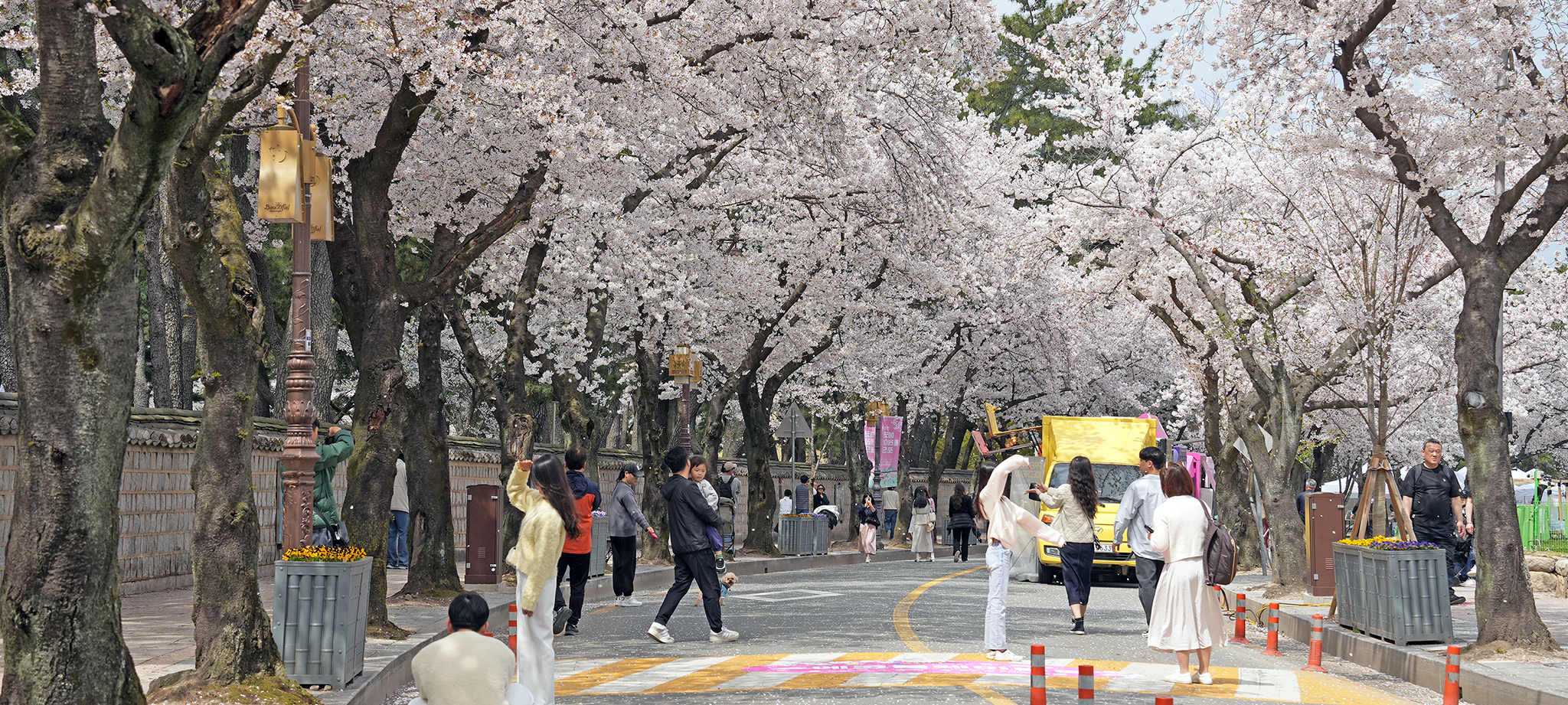 경주 축제 대릉원 관련사진3