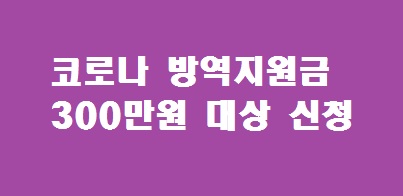 코로나 방역지원금 300만원