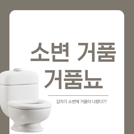 소변 거품 원인 진단 관리 치료 방법 거품뇨