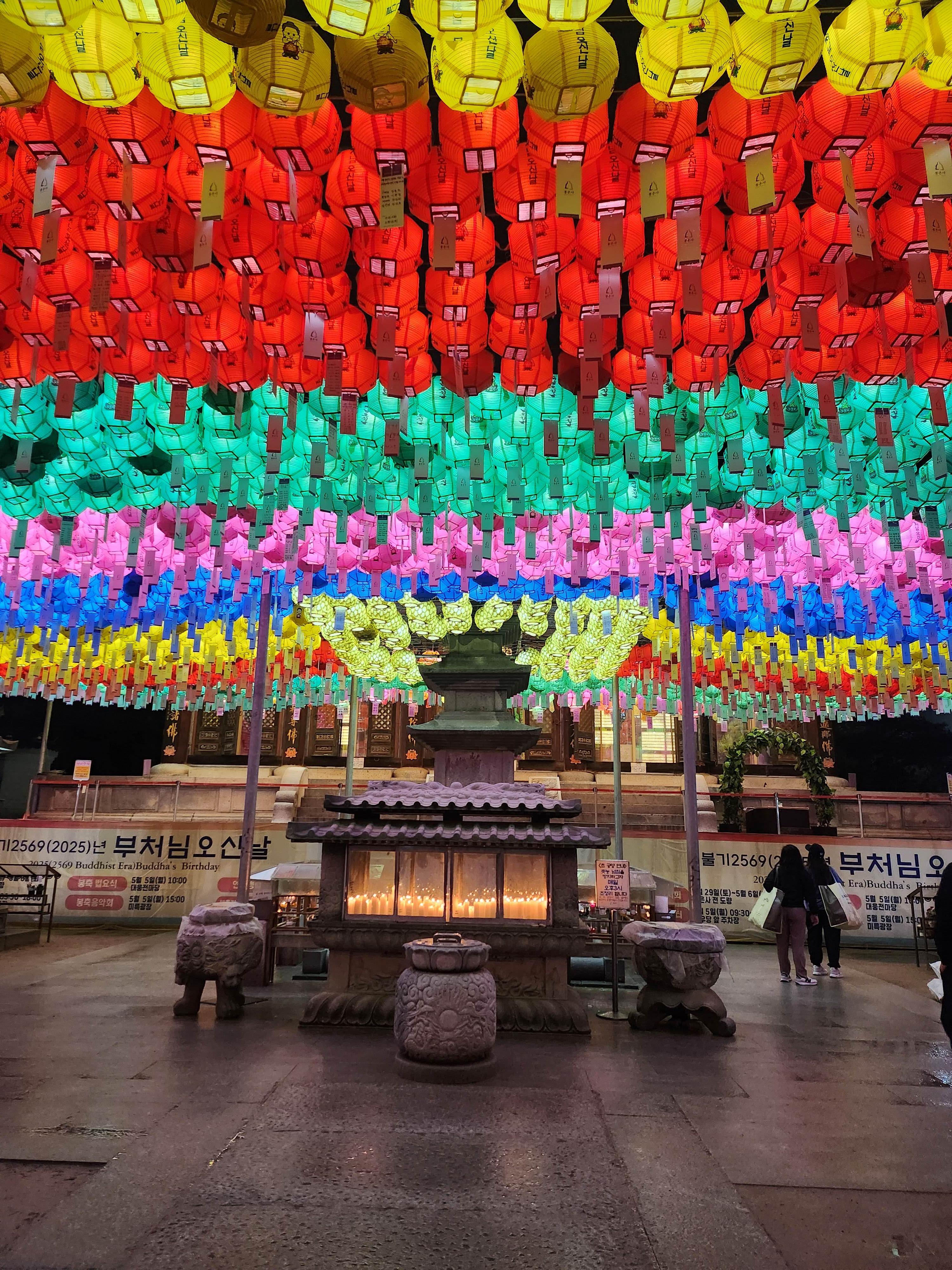 2025. 4. 19. 봉은사 연등제 야경 산책 후기 (겹벚꽃, 라일락, 홍매화 개화상황 포함)