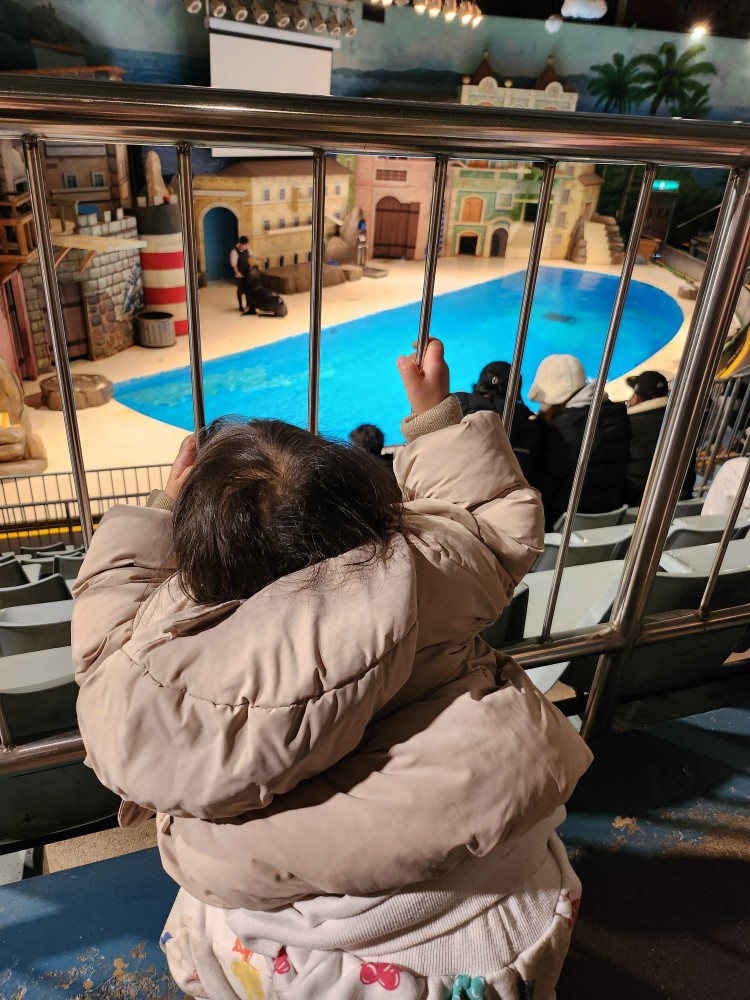 쇼를 보는 아이