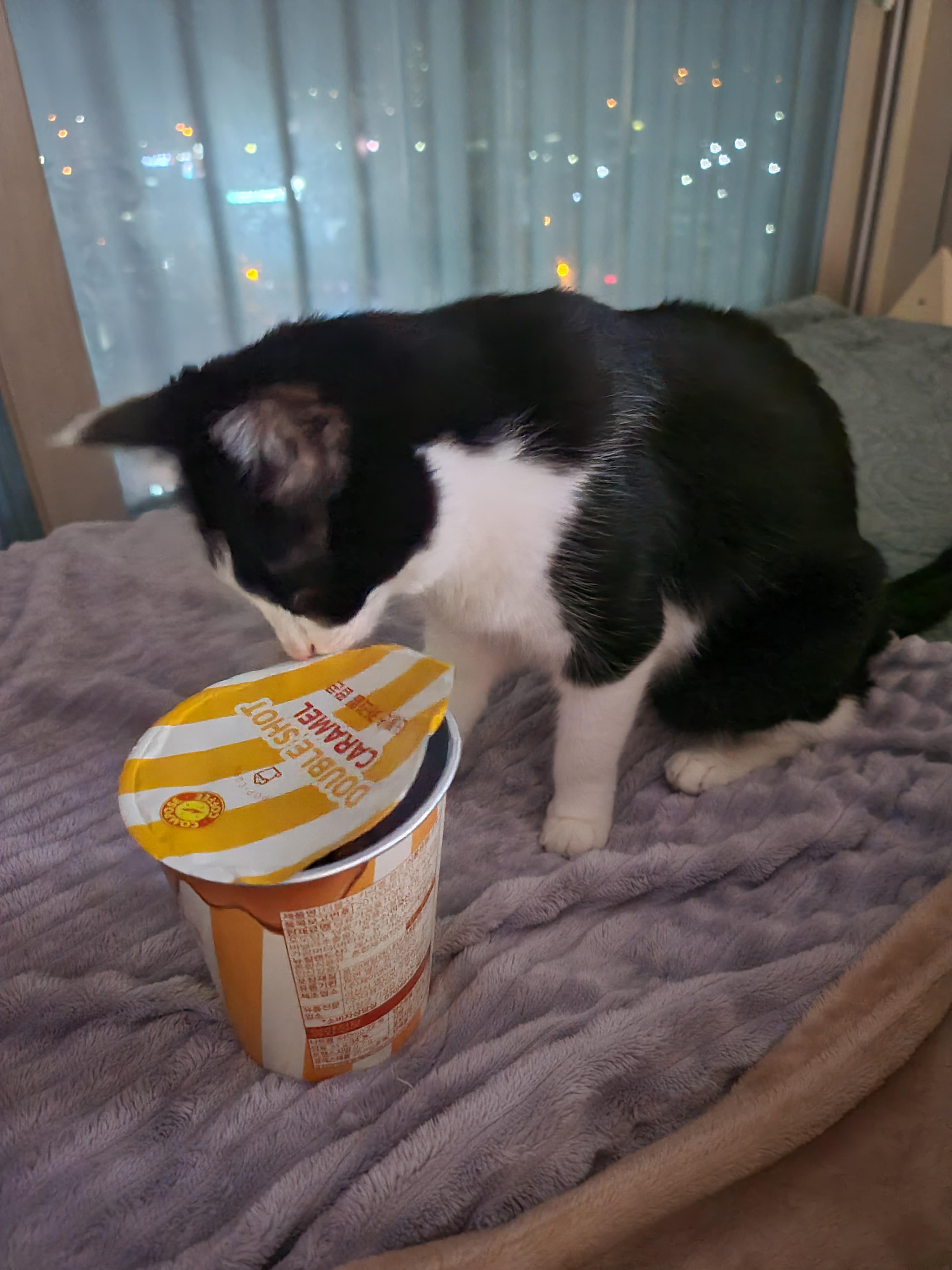 엄마 간식에 관심이 많은 막둥이 라인 ㅋ(딸VS아들 반응)