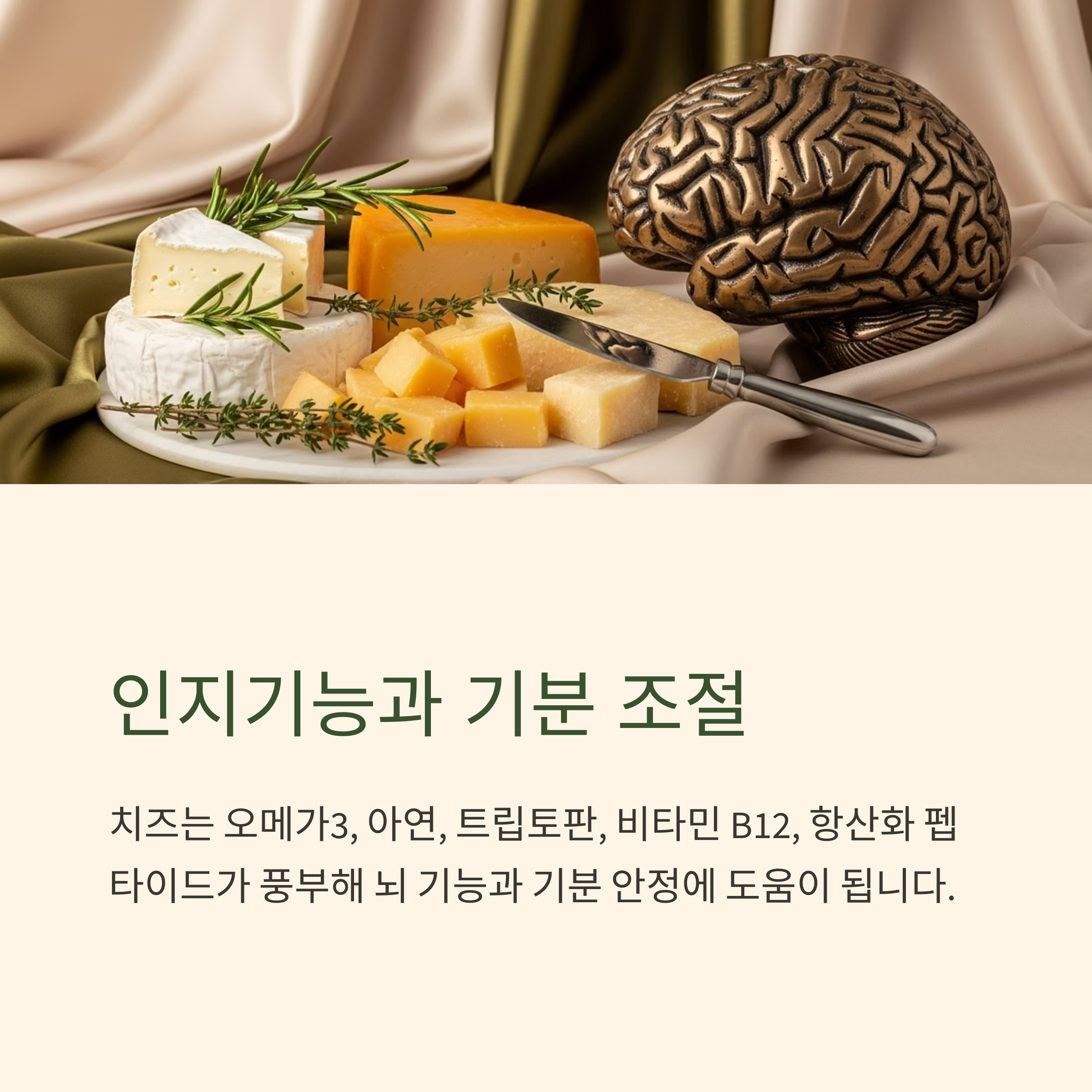 인지기능과 기분 조절