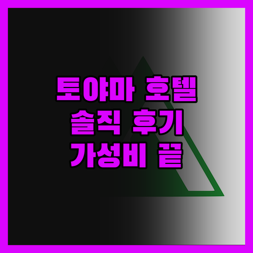 솔직 후기 토야마 호텔 어디? 가성비