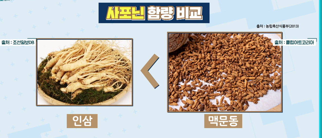 맥문동 효능