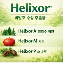 면역보조주사제 미슬토