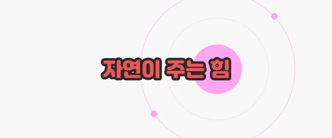 상황버섯 효능 한번 정확하게 알아보도록 하죠