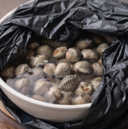 꼬막 해감 쉽게 하는 법