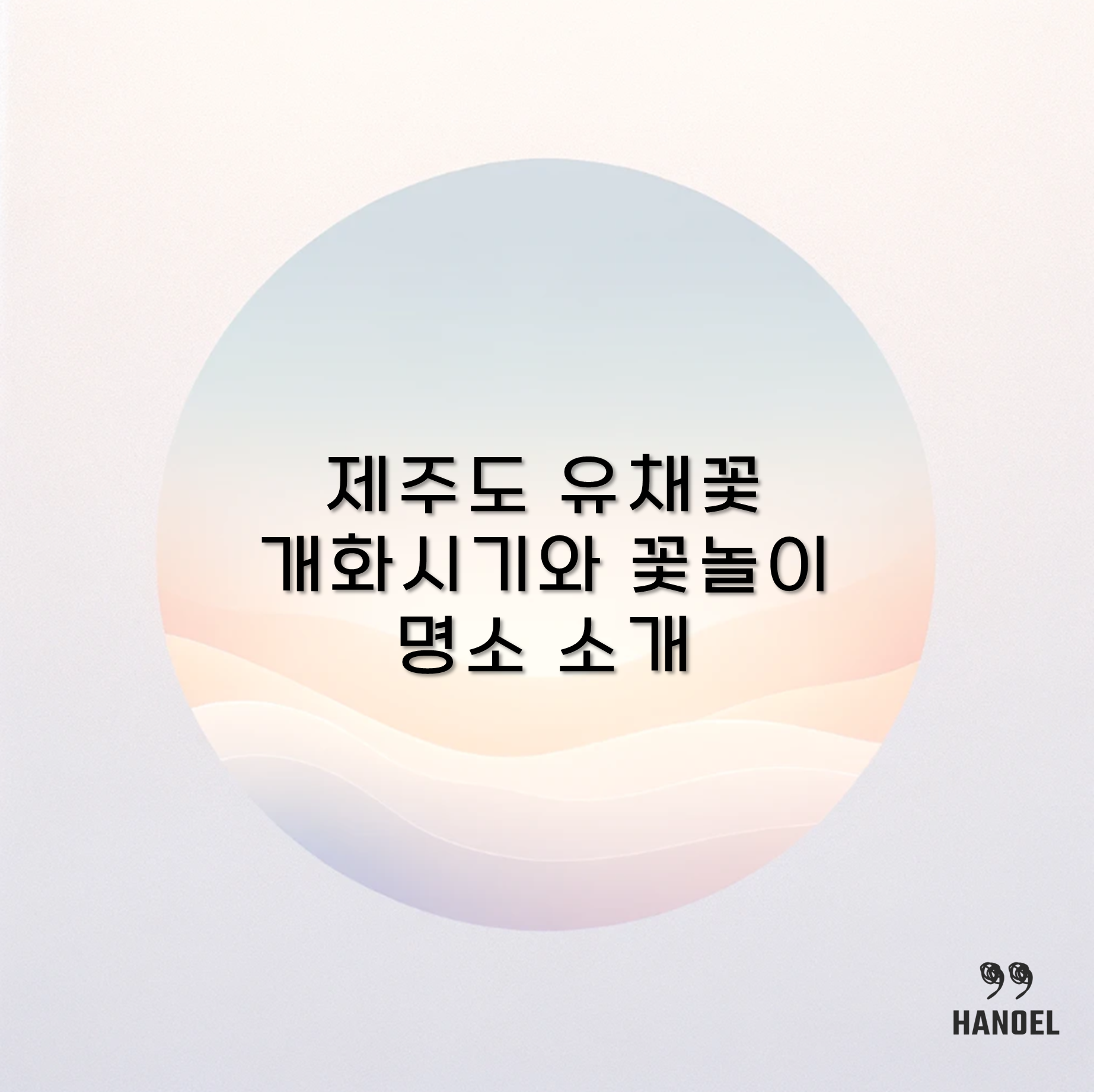 제주도 유채꽃 개화시기와 꽃놀이 명소 소개