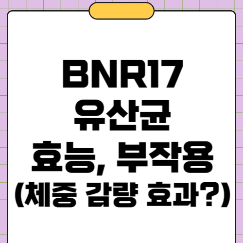 bnr17 유산균