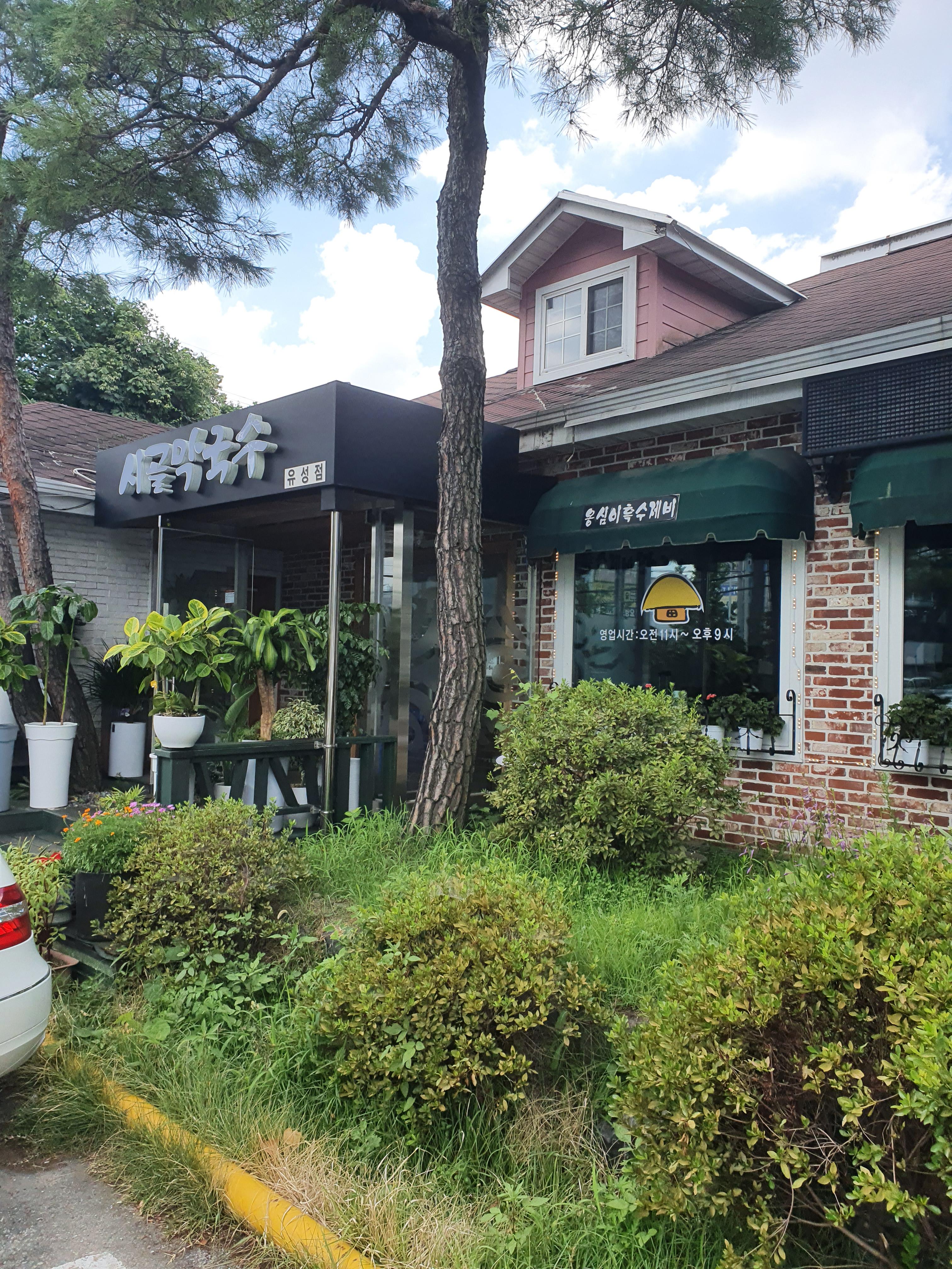 시골막국수 유성점 전경