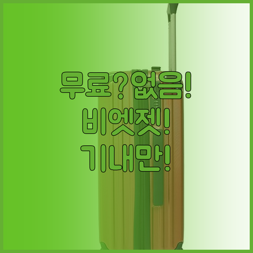 비엣젯 이코노미 무료 위탁수하물 없음..