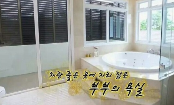 신주아 태국 남편 집