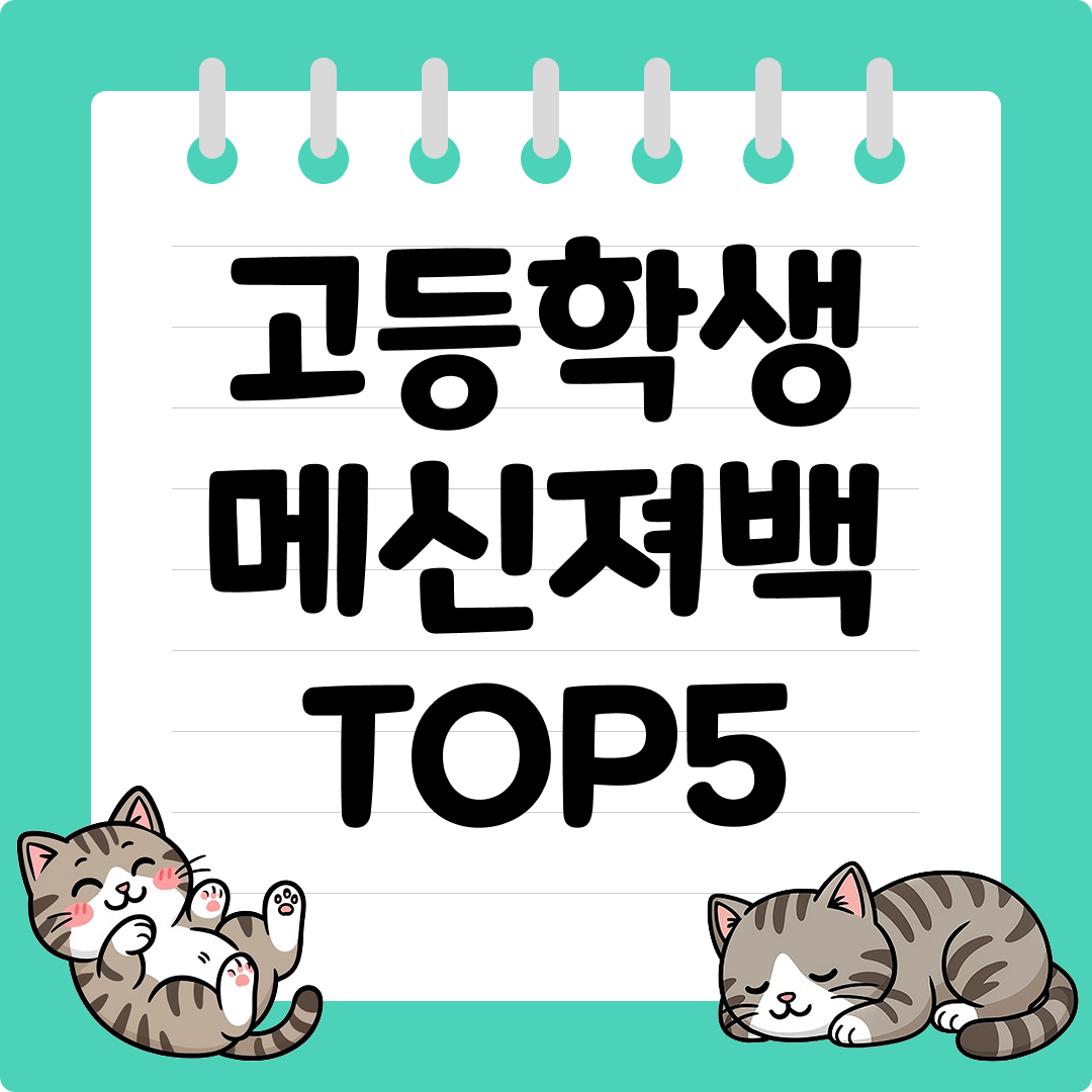 교복에 잘 어울리는 고등학생 메신저백 추천 순위 TOP5