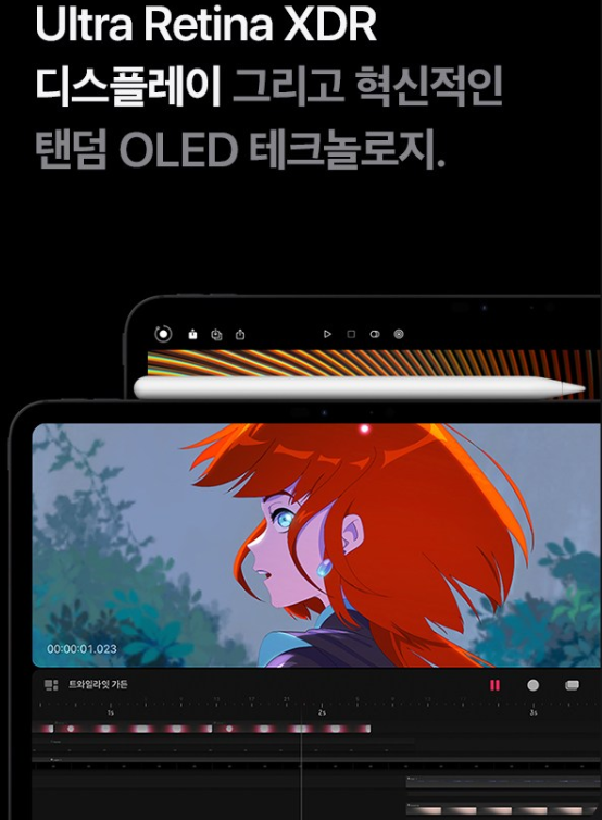 Apple 아이패드 프로 11 M4 2