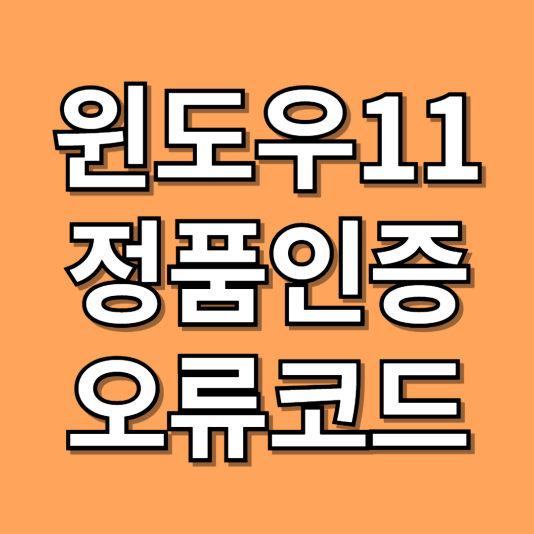 윈도우11 정품인증