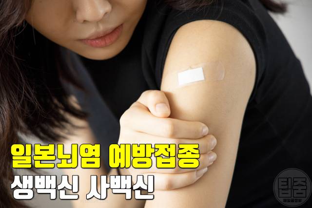 일본뇌염 증상 후유증 치사율 예방접종 가격 치료제 생백신 사백신