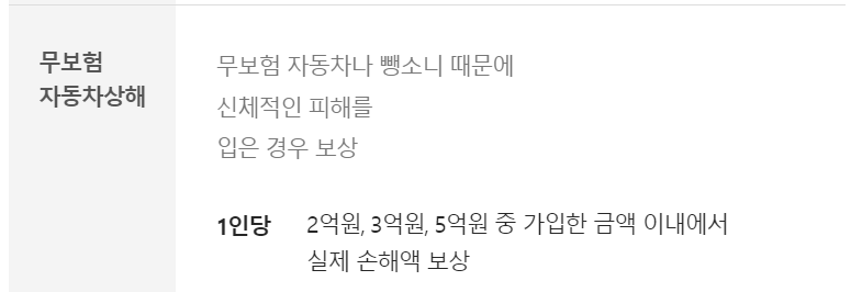 캐롯 자동차보험 보장내용