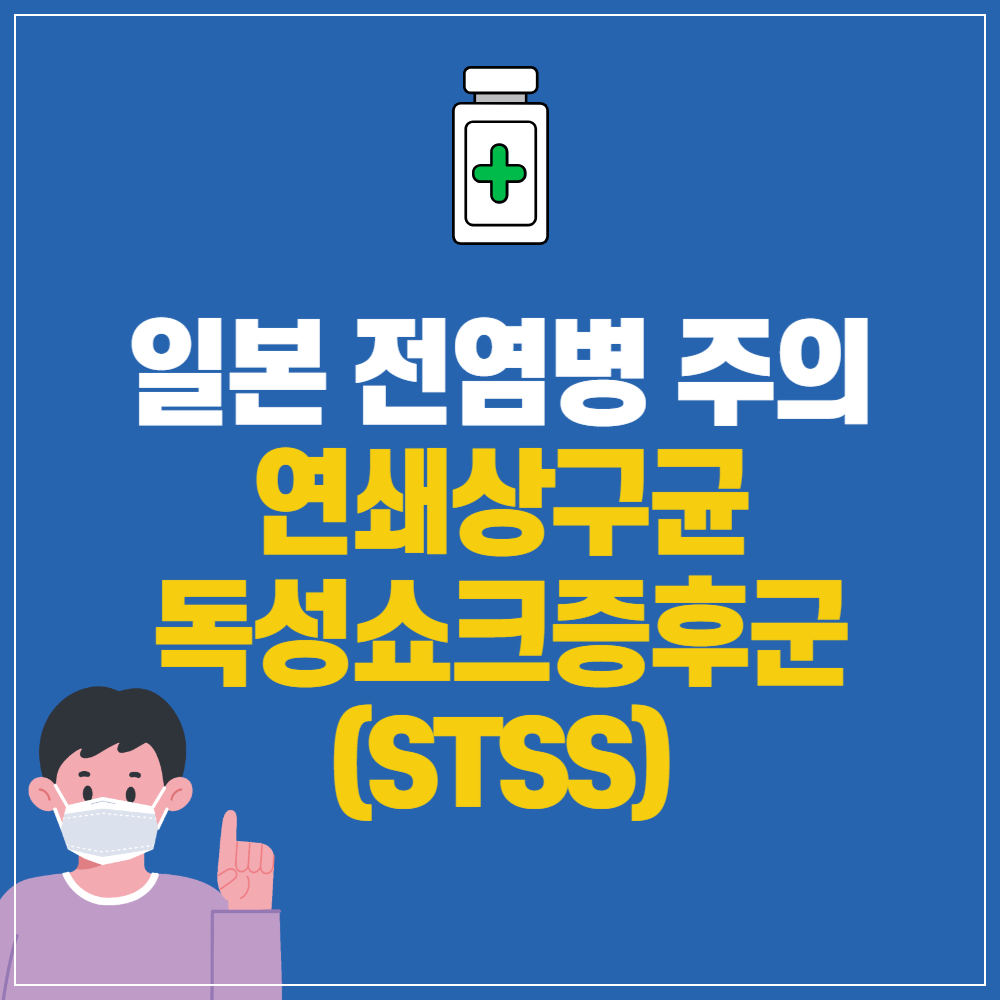 일본 전염병 주의&#44; 연쇄상구균독성쇼크증후군(STSS) 증상&#44; 치료 및 예방법