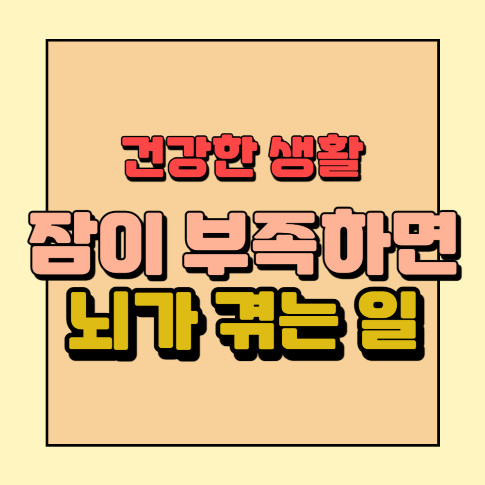 잠이부족하면뇌가겪는일