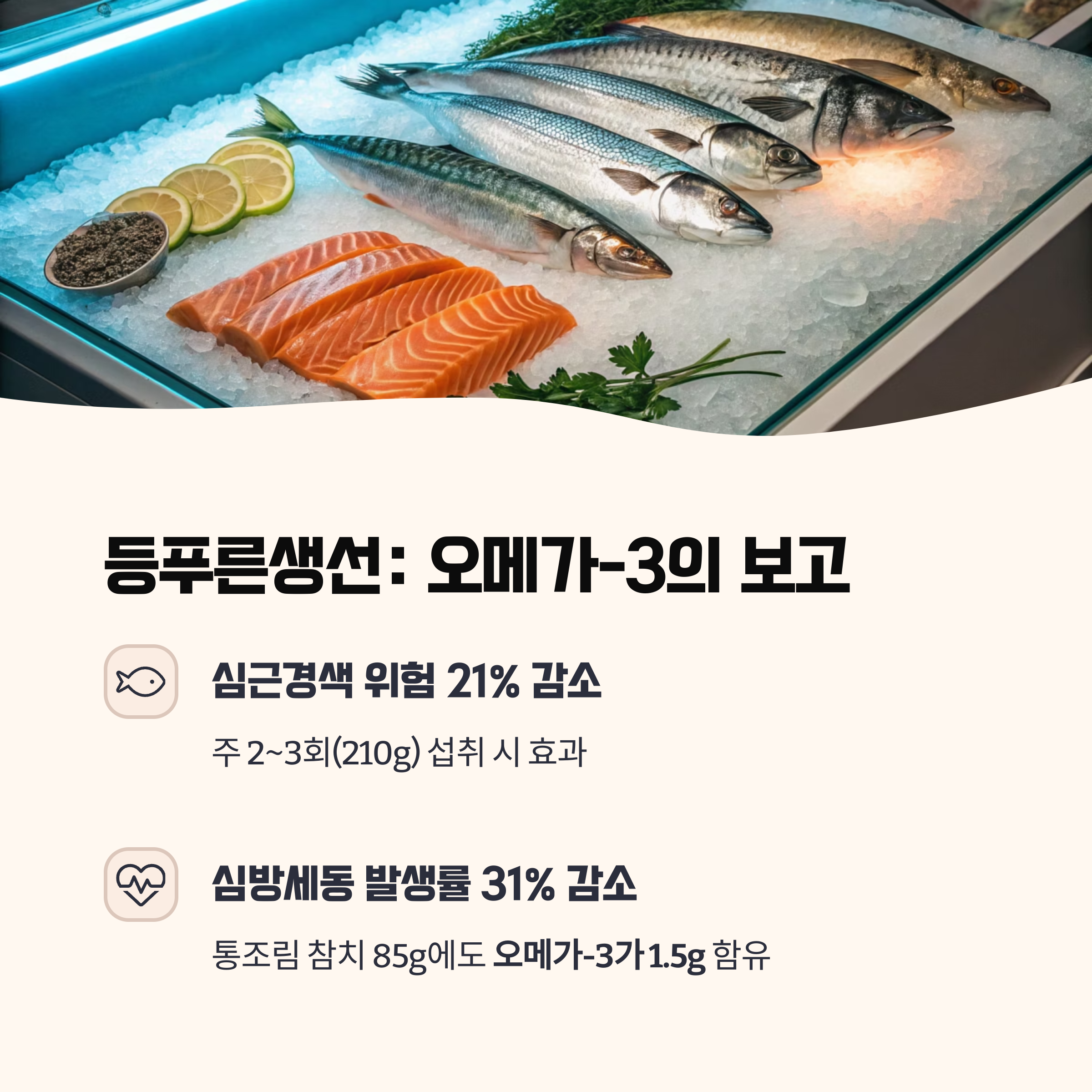 등푸른생선