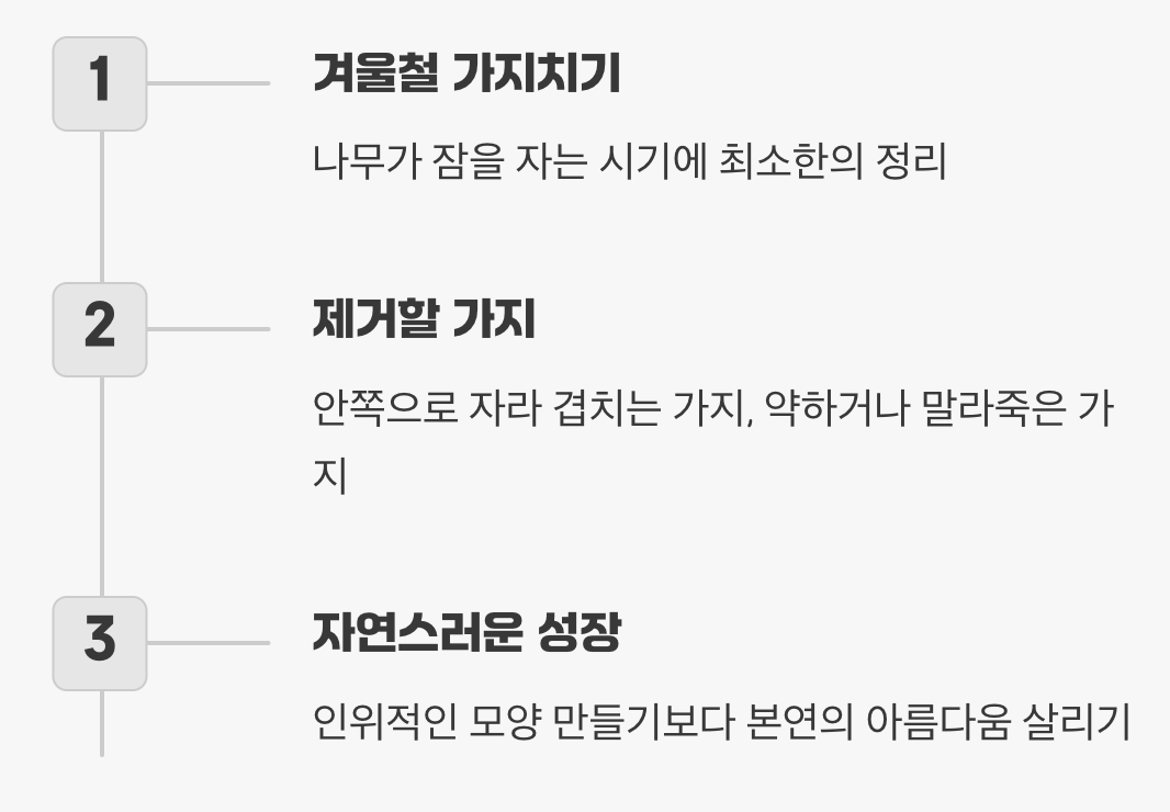 최소한의 손길로 완성하는 품격 있는 수형