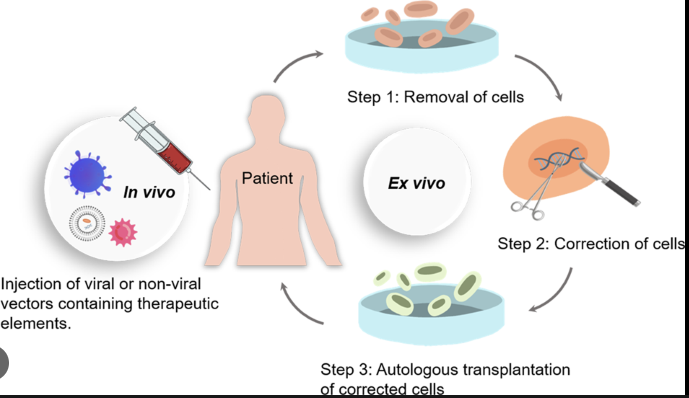 인간 질병의 표적 치료에 게놈 편집 기술의 적용