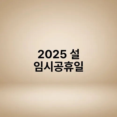 2025 설 임시공휴일
