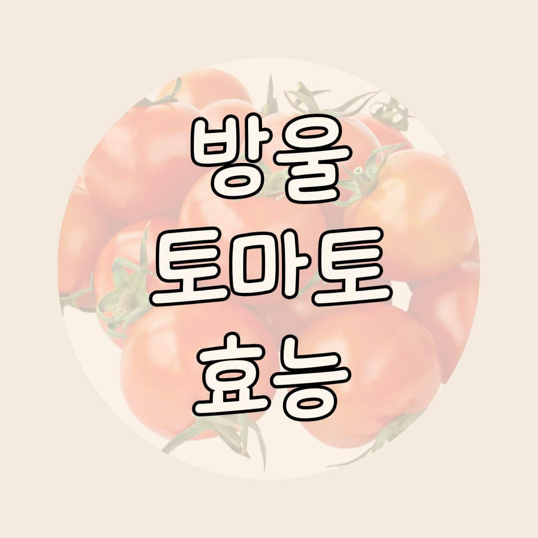 방울토마토 효능